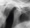 cd_tmjx